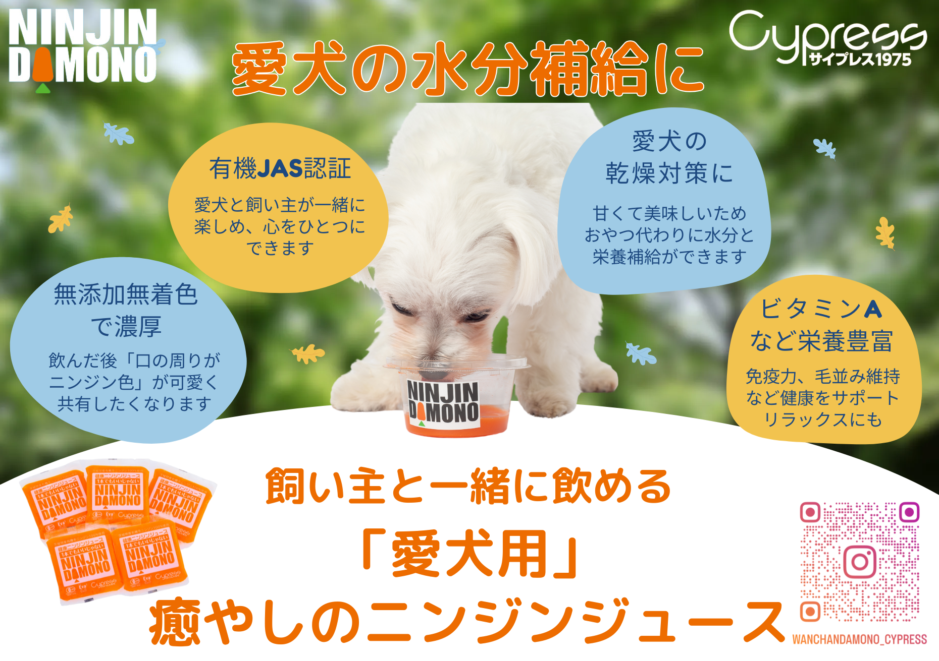 飼い主と一緒に飲める「愛犬用」癒やしのニンジンジュース – 癒やしの 