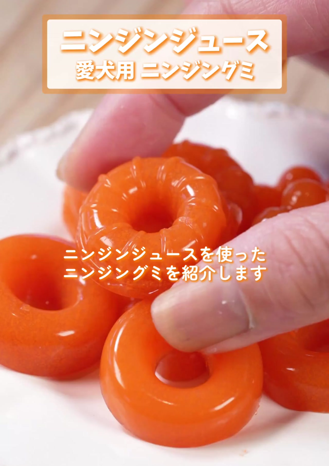 🍴「愛犬用」グミ🍴