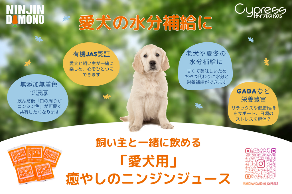 ワンちゃん用ニンジンジュース