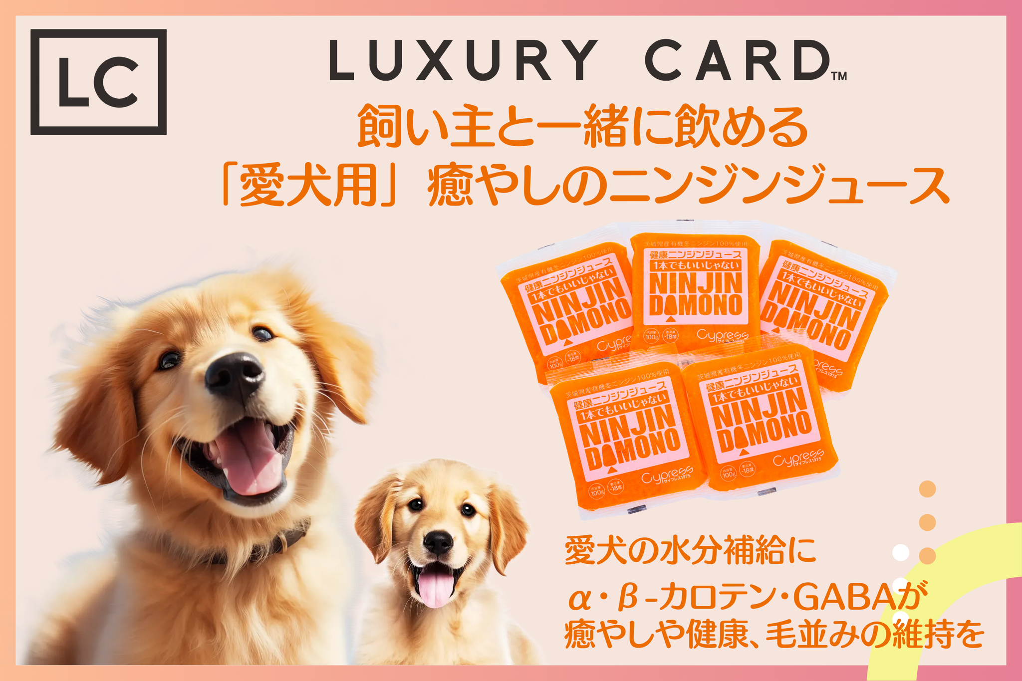 水分補給に最適　飼い主と一緒に飲める「愛犬用」ニンジンジュース　有機ＪＡＳ認証・無添加無着色